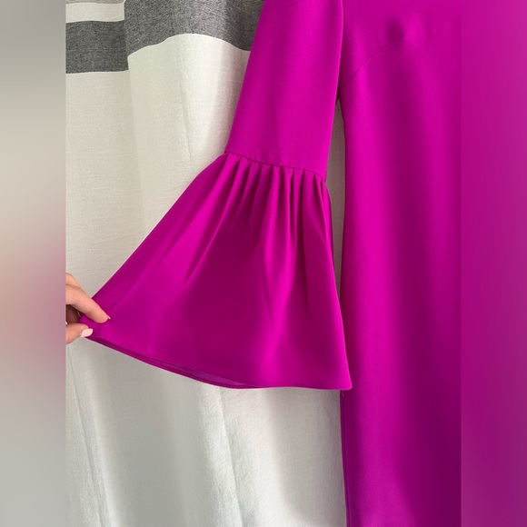 Banana Republic Fuchsia Shift Dress - Picture 3 of 4